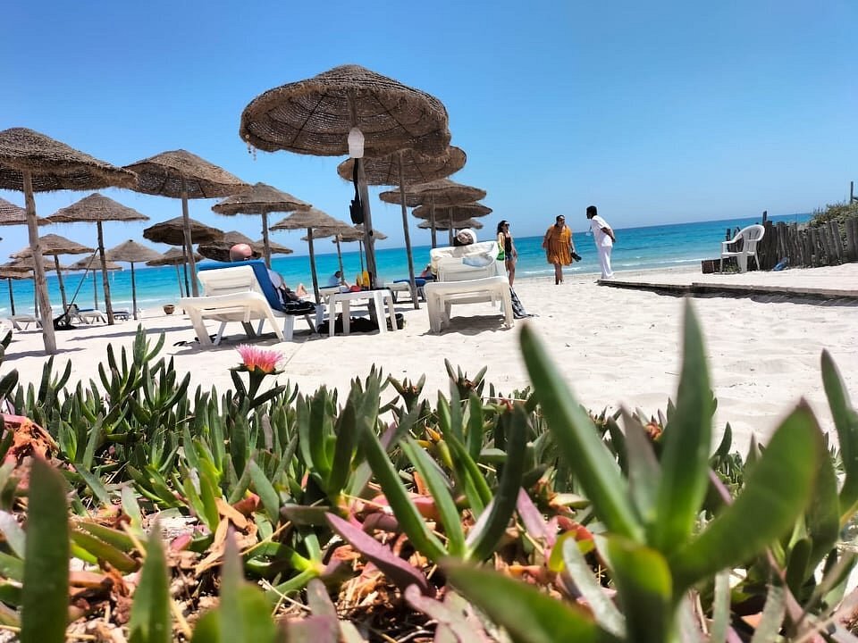 Beach Bar